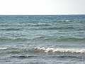 Western Michigan [2010] 881